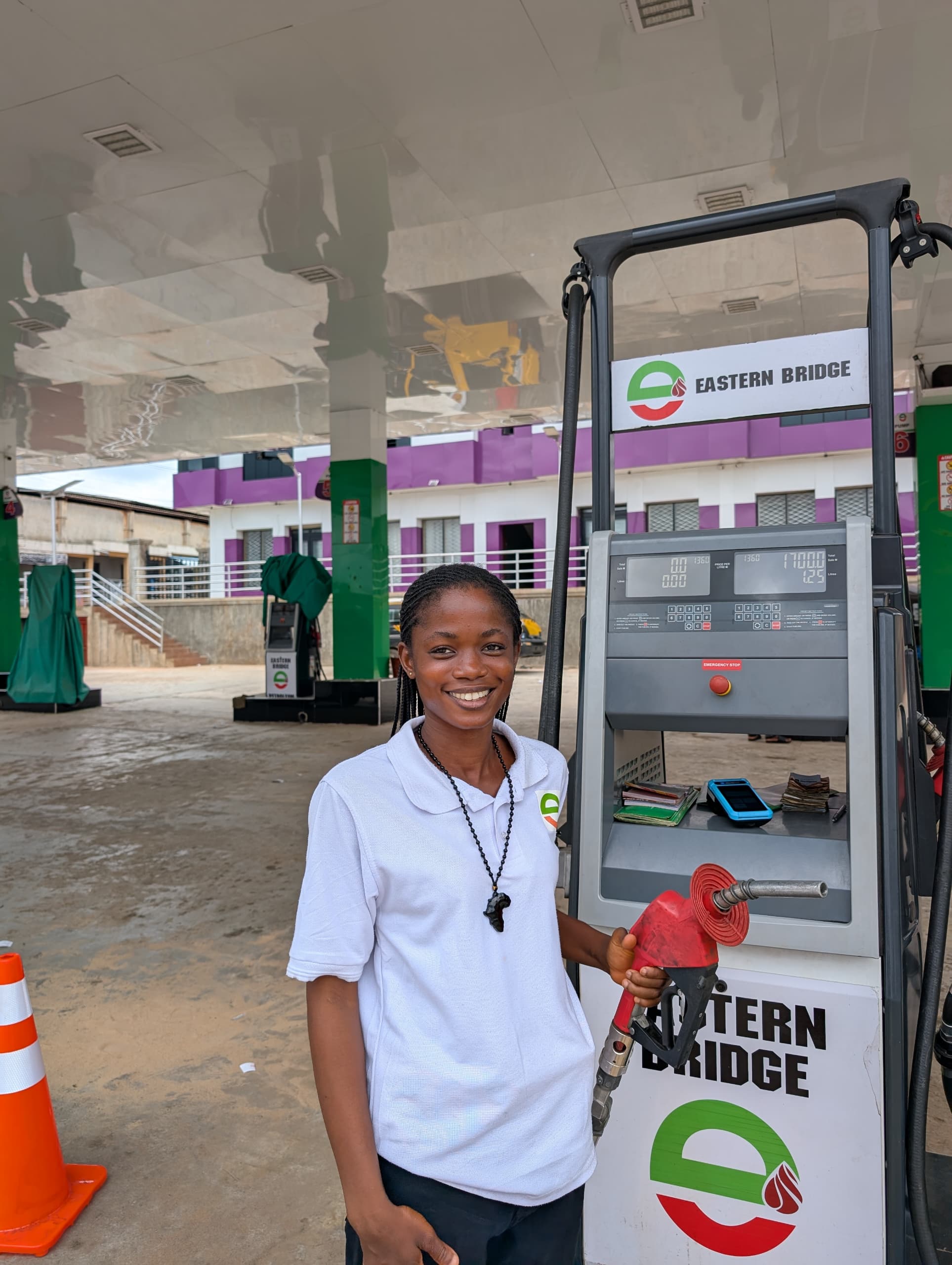 Premium Diesel Pump